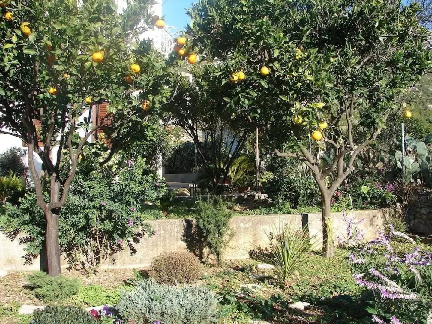 Sugor - 70 m From sea - Plavi-sa2