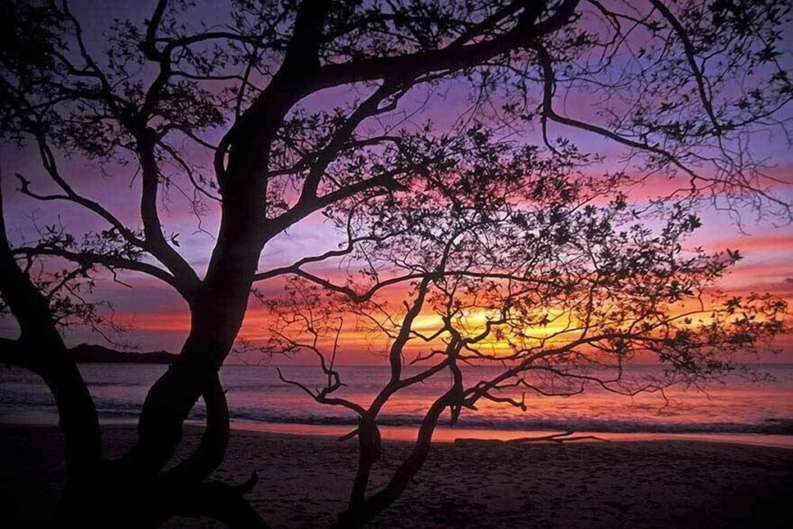 Espadilla Ocean Club