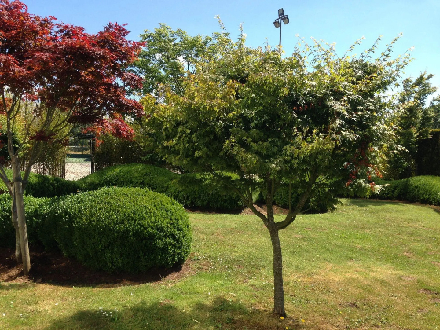 Отель Oca Puerta del Camino