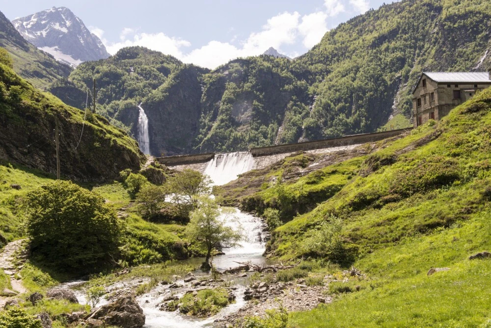 The Dreaming Tree B&B