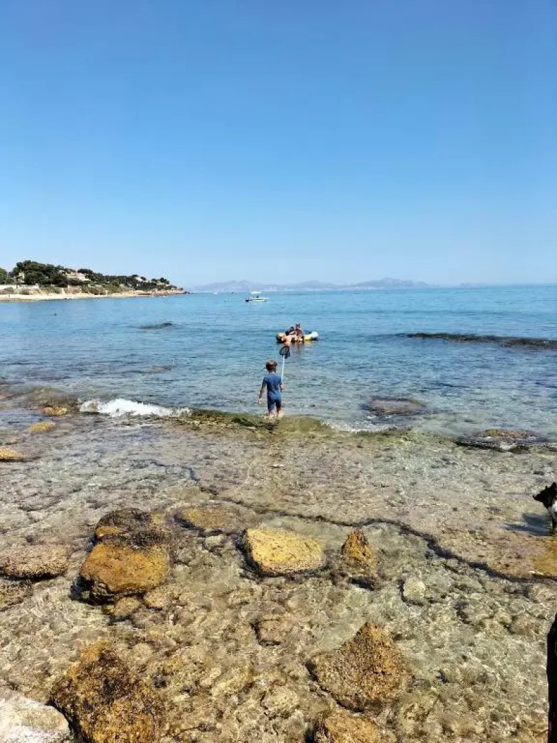 Appartement vue mer le chant des cigales