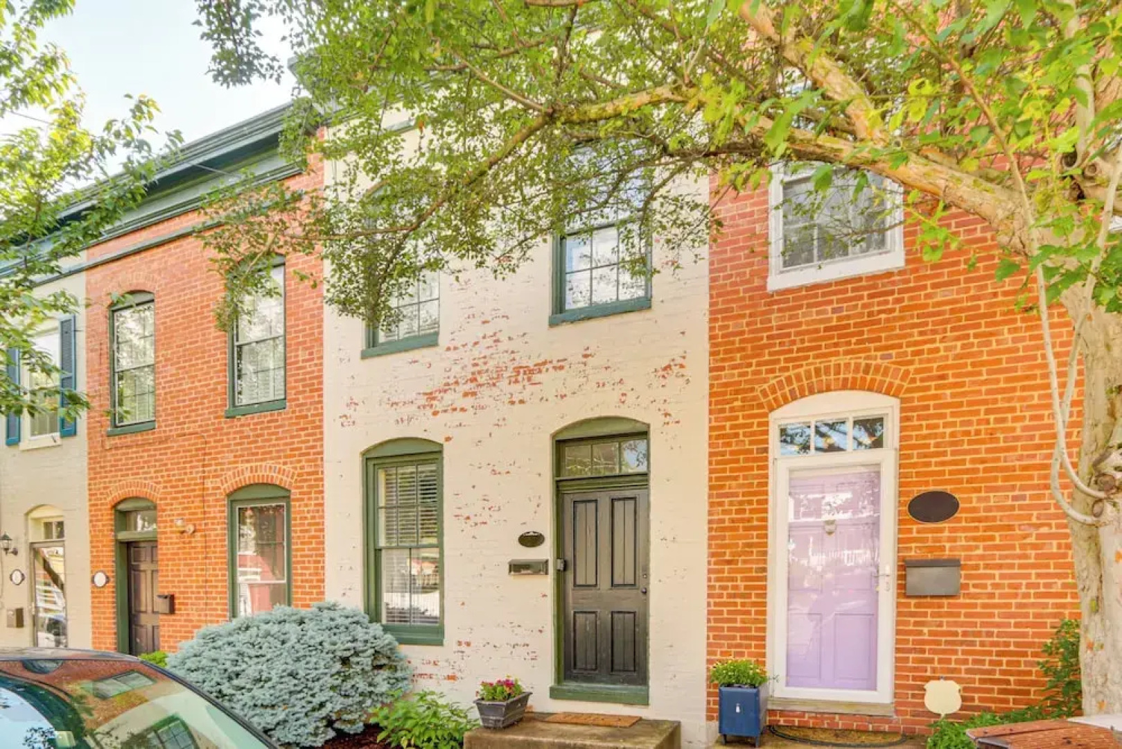 Dtwn at Your Door: Historic Frederick Gem w/ Yard!