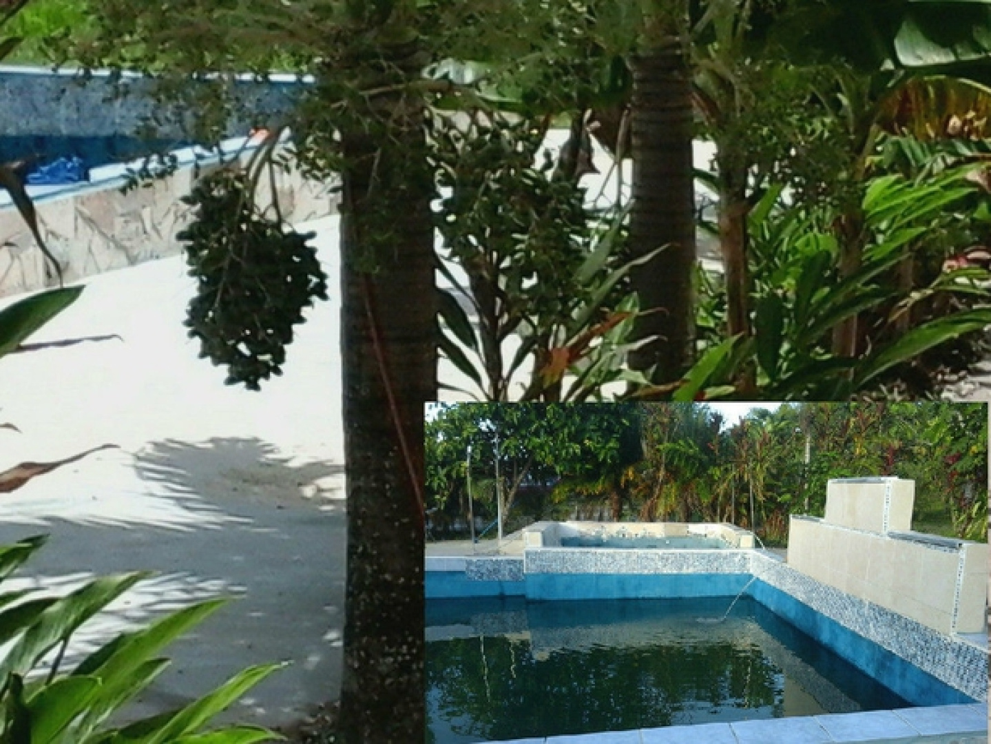 Super Palm Resort