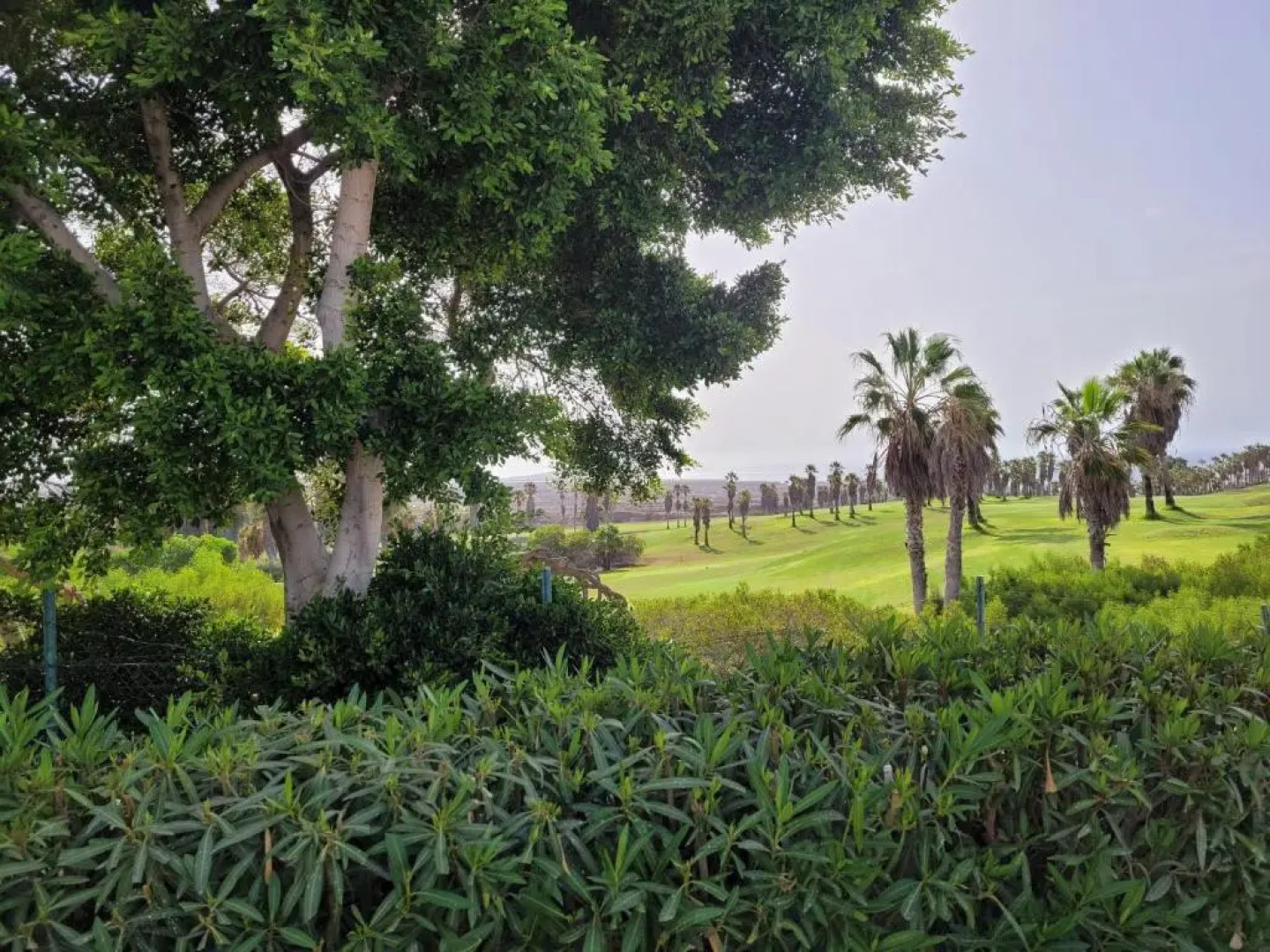 San Andres Resort villa 72 Golf del Sur