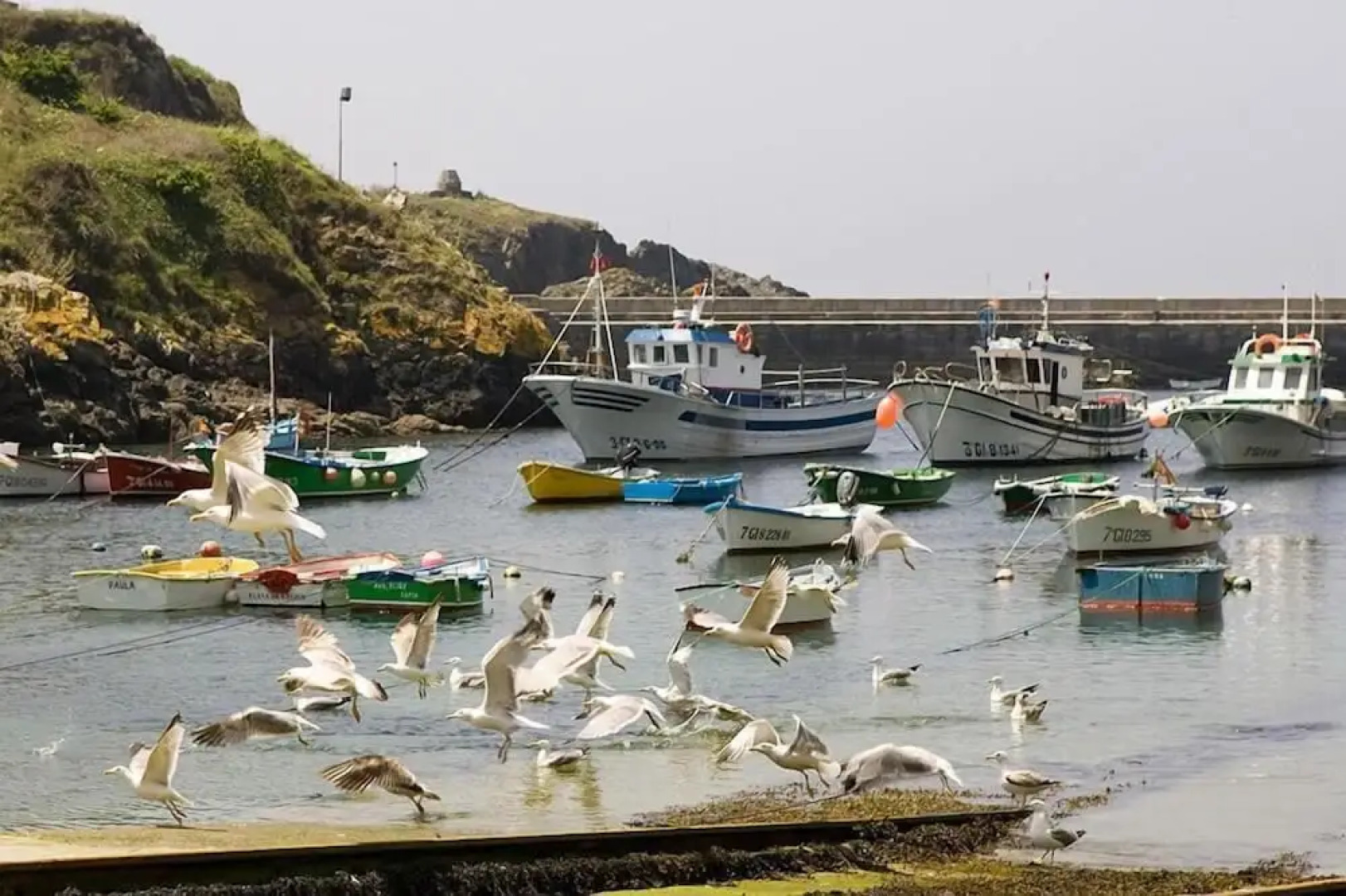 Apartamentos El Guindal