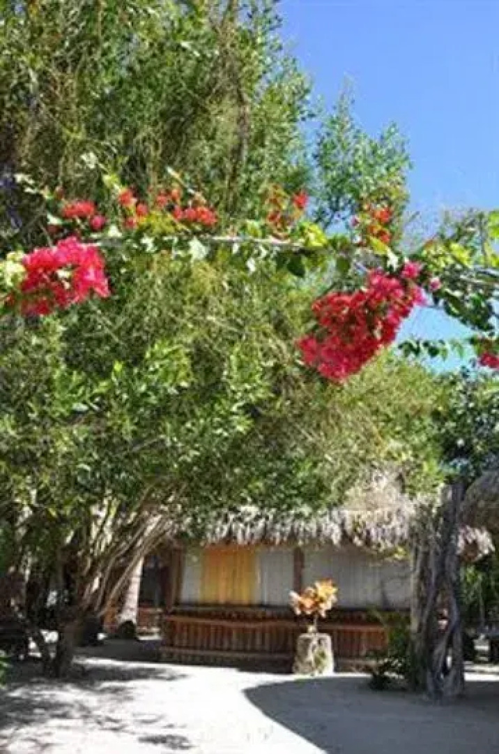 Holbox Hostel & Cabanas Ida y Vuelta Camping