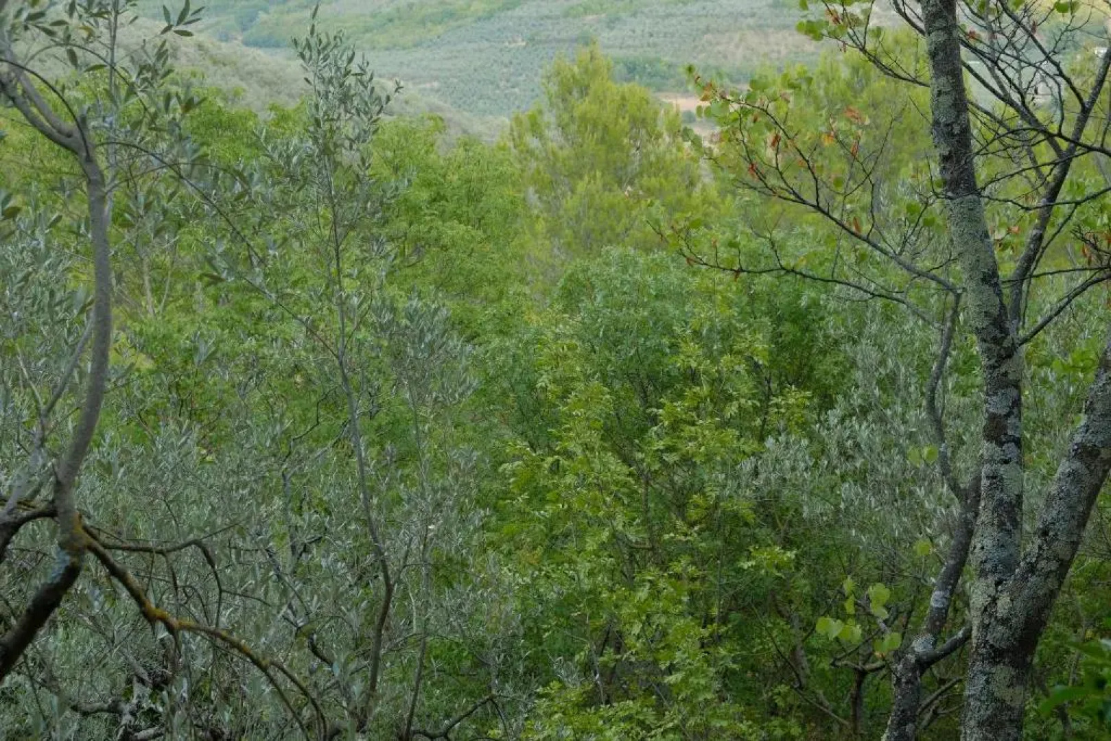 Agriturismo Il Casaletto