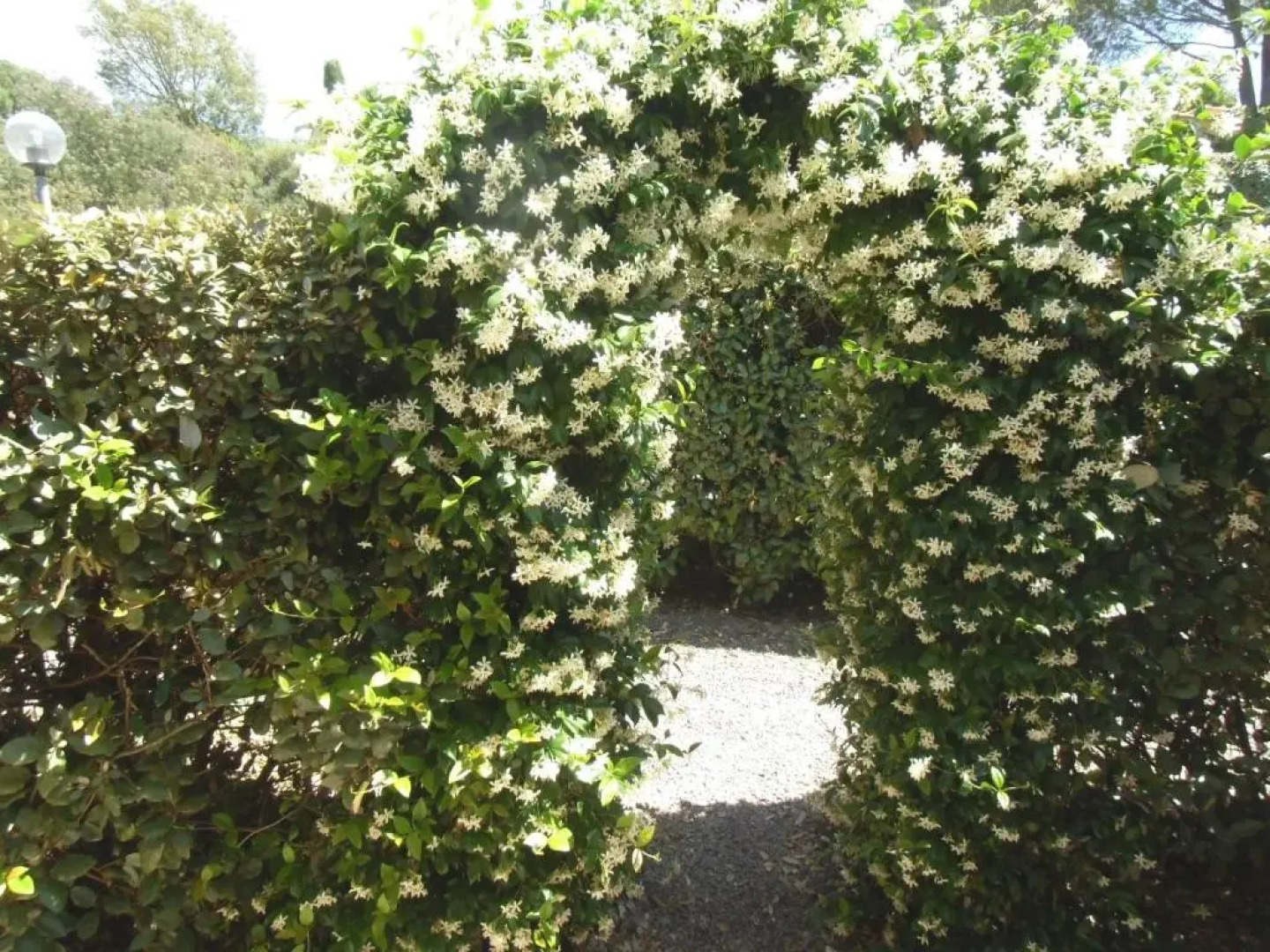la Soleiade Gites 2à4 pers au Lac de Saint-Cassien proximité Cannes Mandelieu la Napoule Frejus St Raphael
