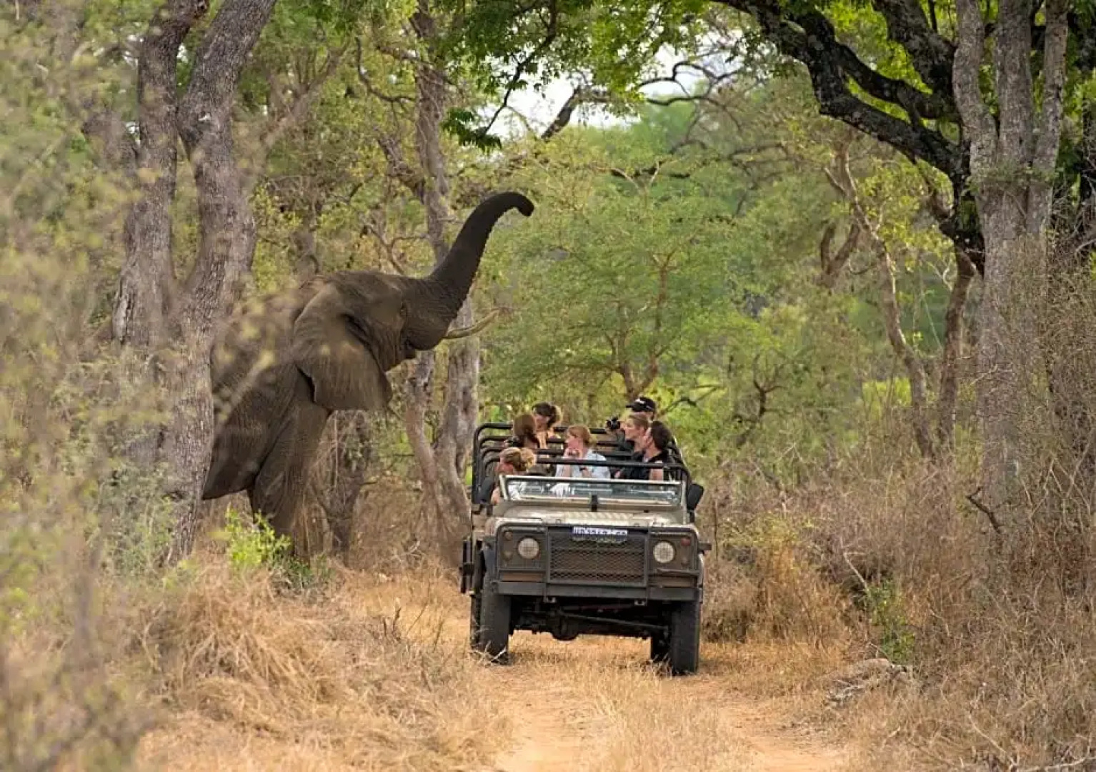 Big 5 Self-catering Lodge