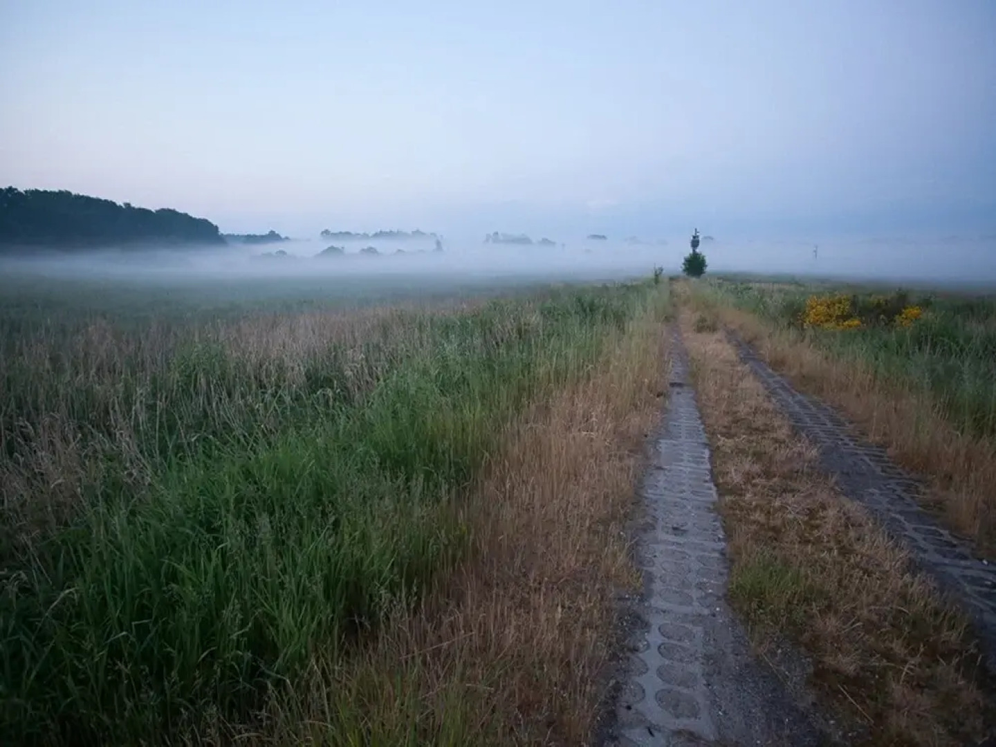 Bungalow in Pomeranian With Garden