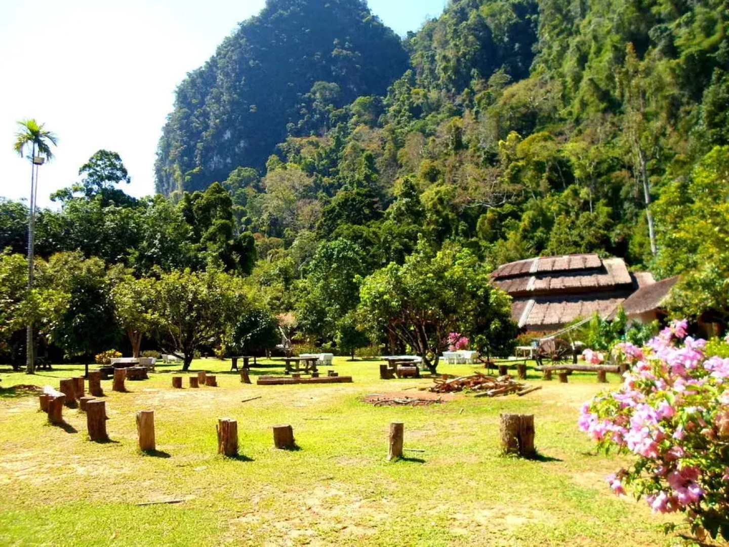 The Cliff and River Jungle Resort