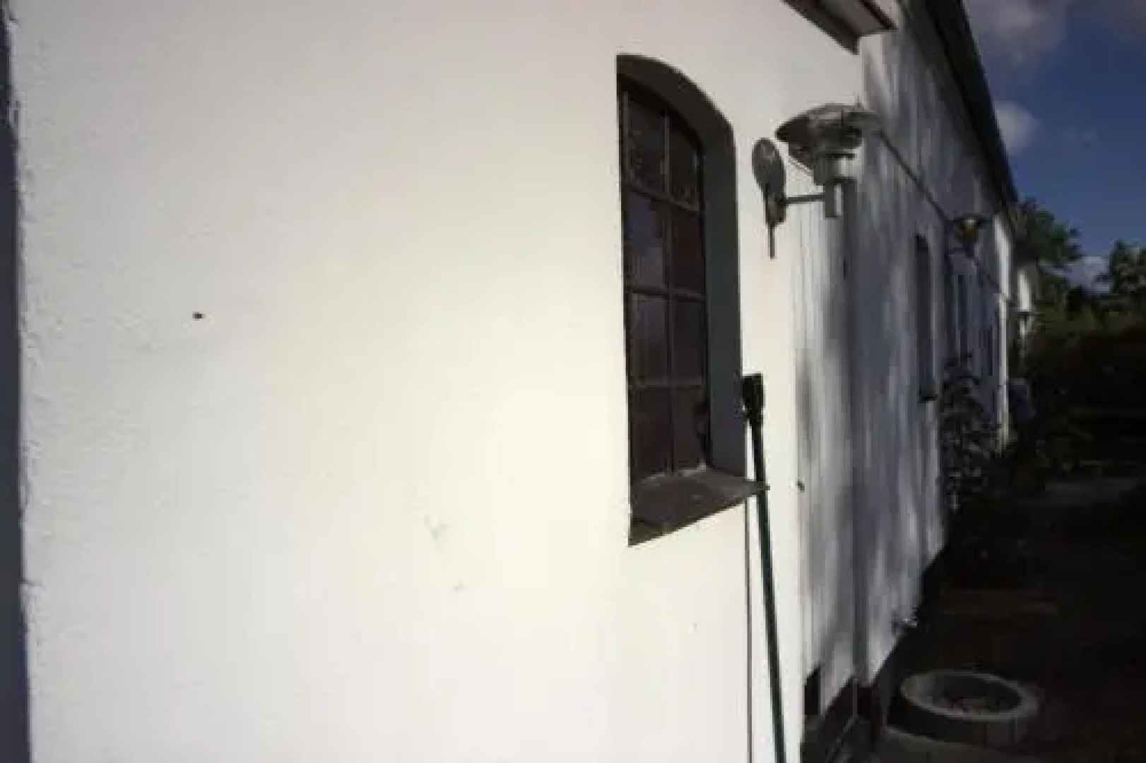 Stutteri Skandi Hest