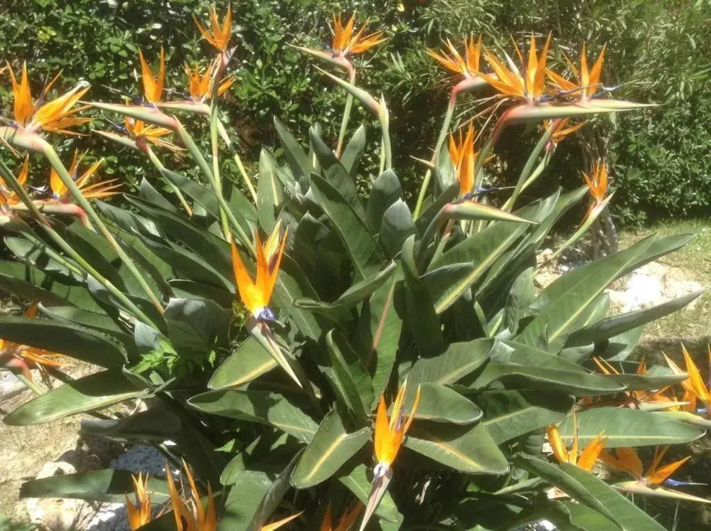 Affittacamere Le Logge