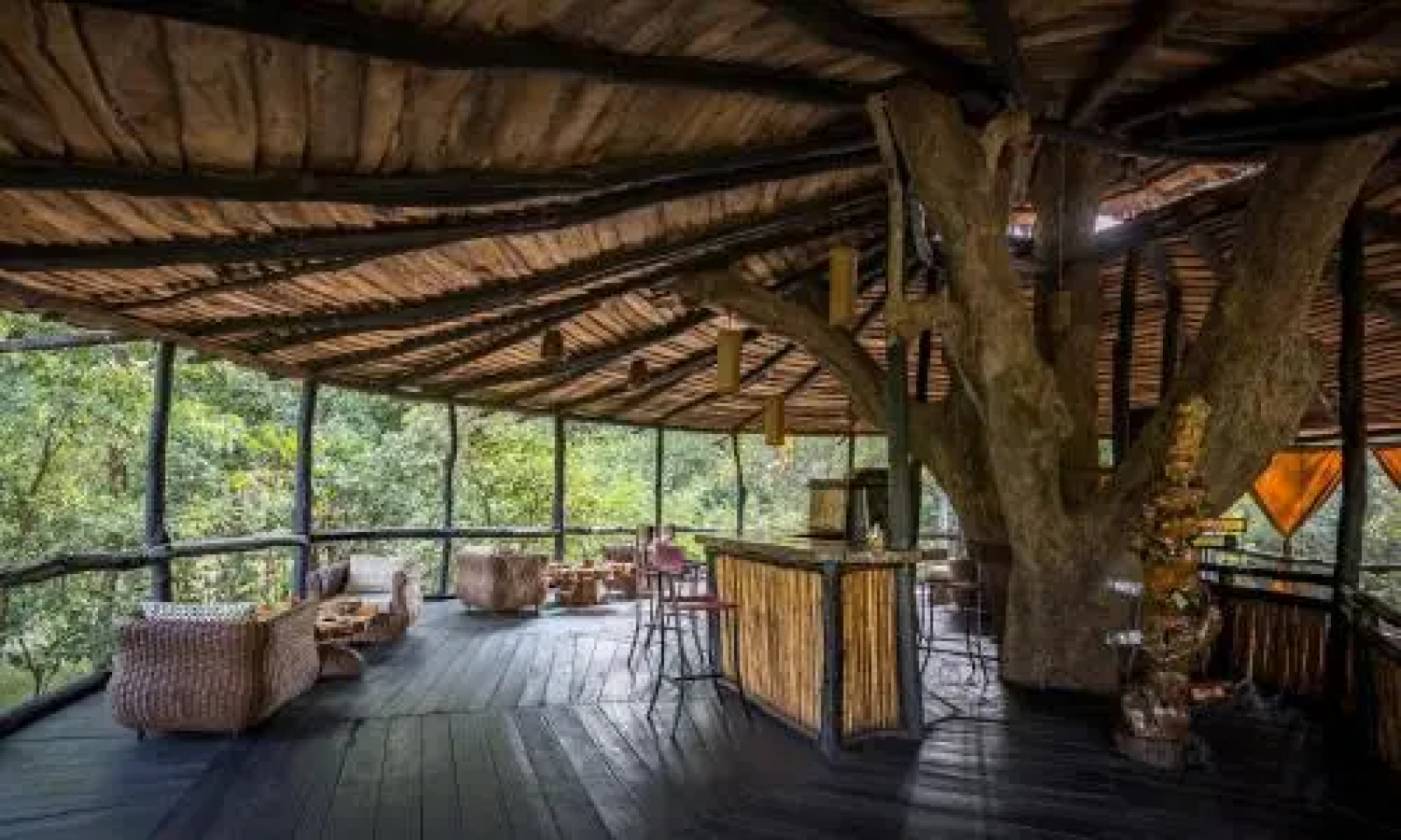 Tree House Hideway Bandhavgarh