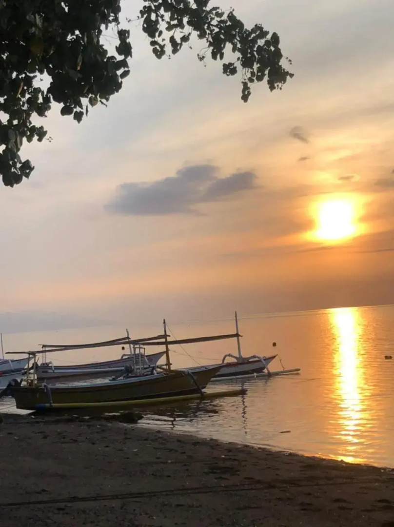 Shady Grove Healing Centre and Homestay