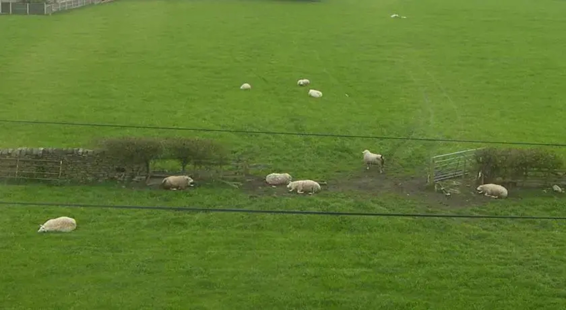 Field View House B&B