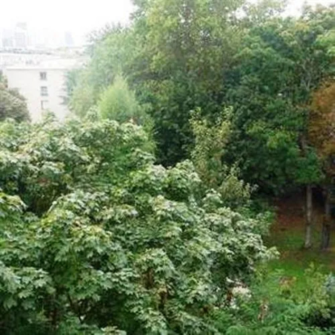 Bed & Breakfast Florale