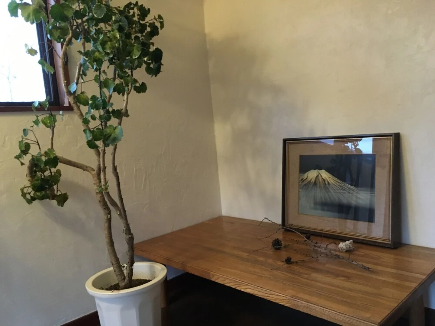 Teishaba Guesthouse & Cafe – Hostel