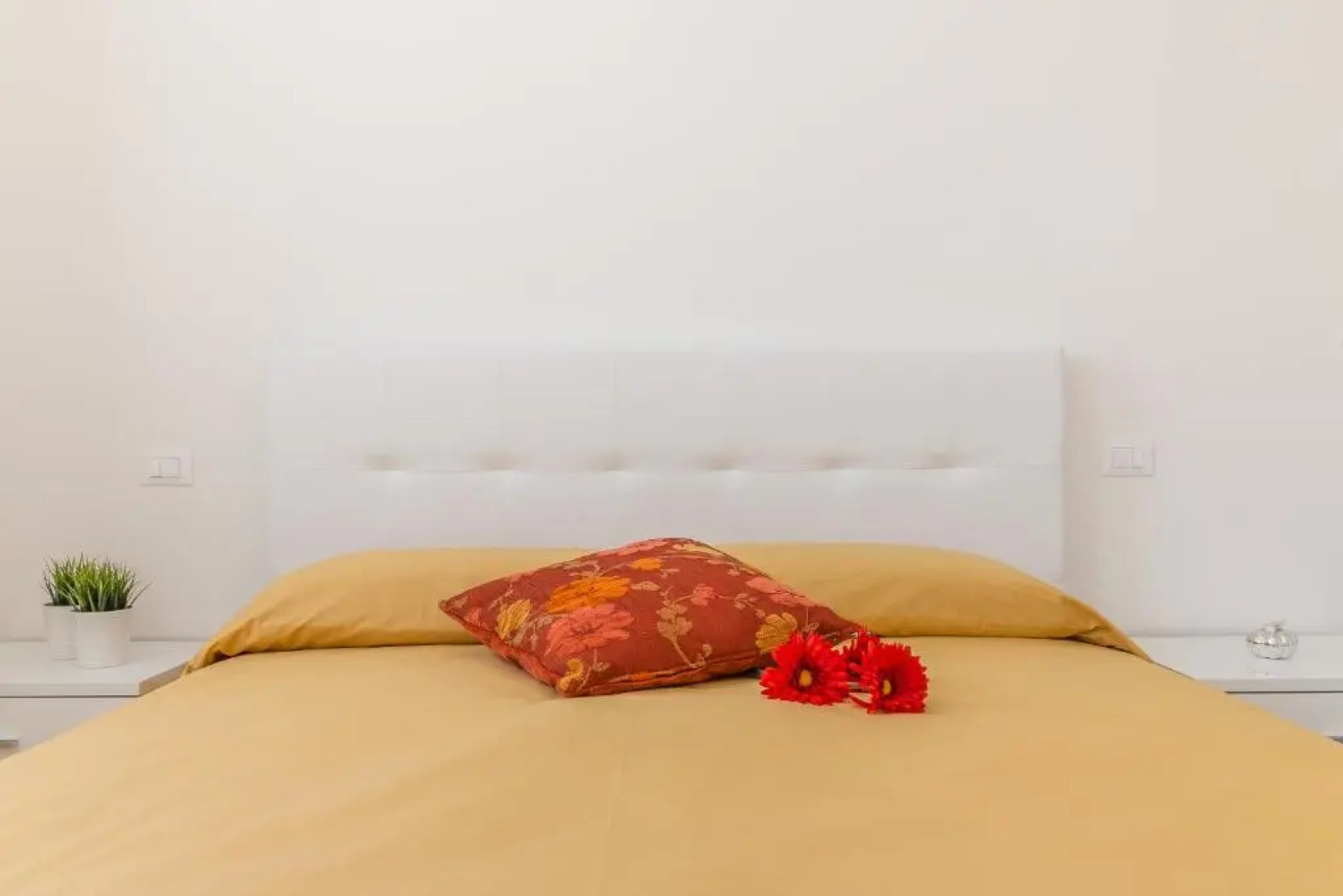 Cimadolmo Prosecco and History