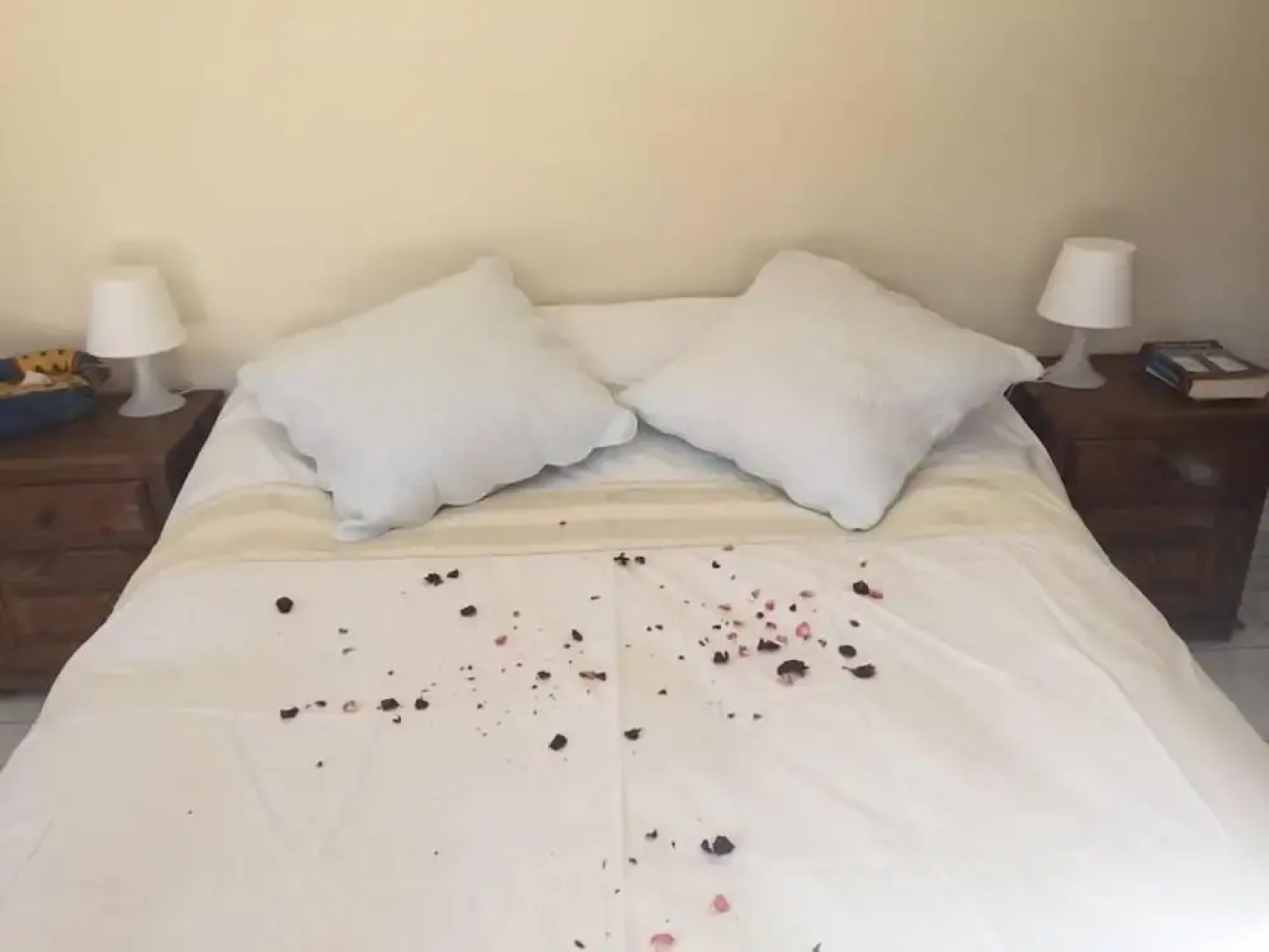 Appartement Le Nyrvana