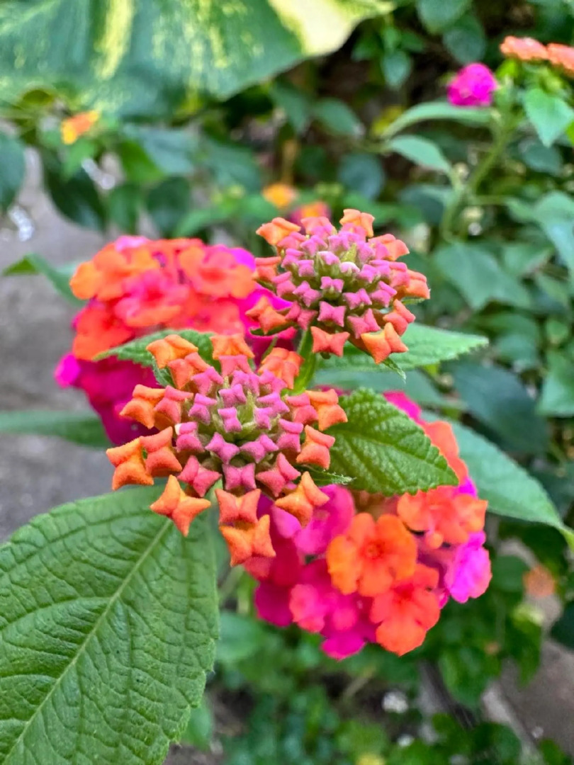 S & R Bed and Breakfast