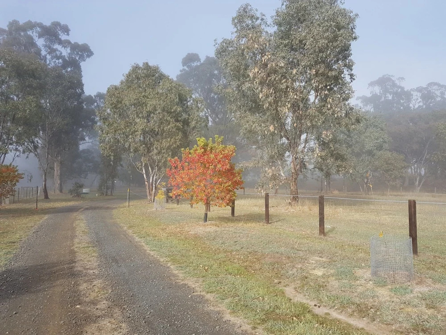 Big Tiny Dale View Tiny House