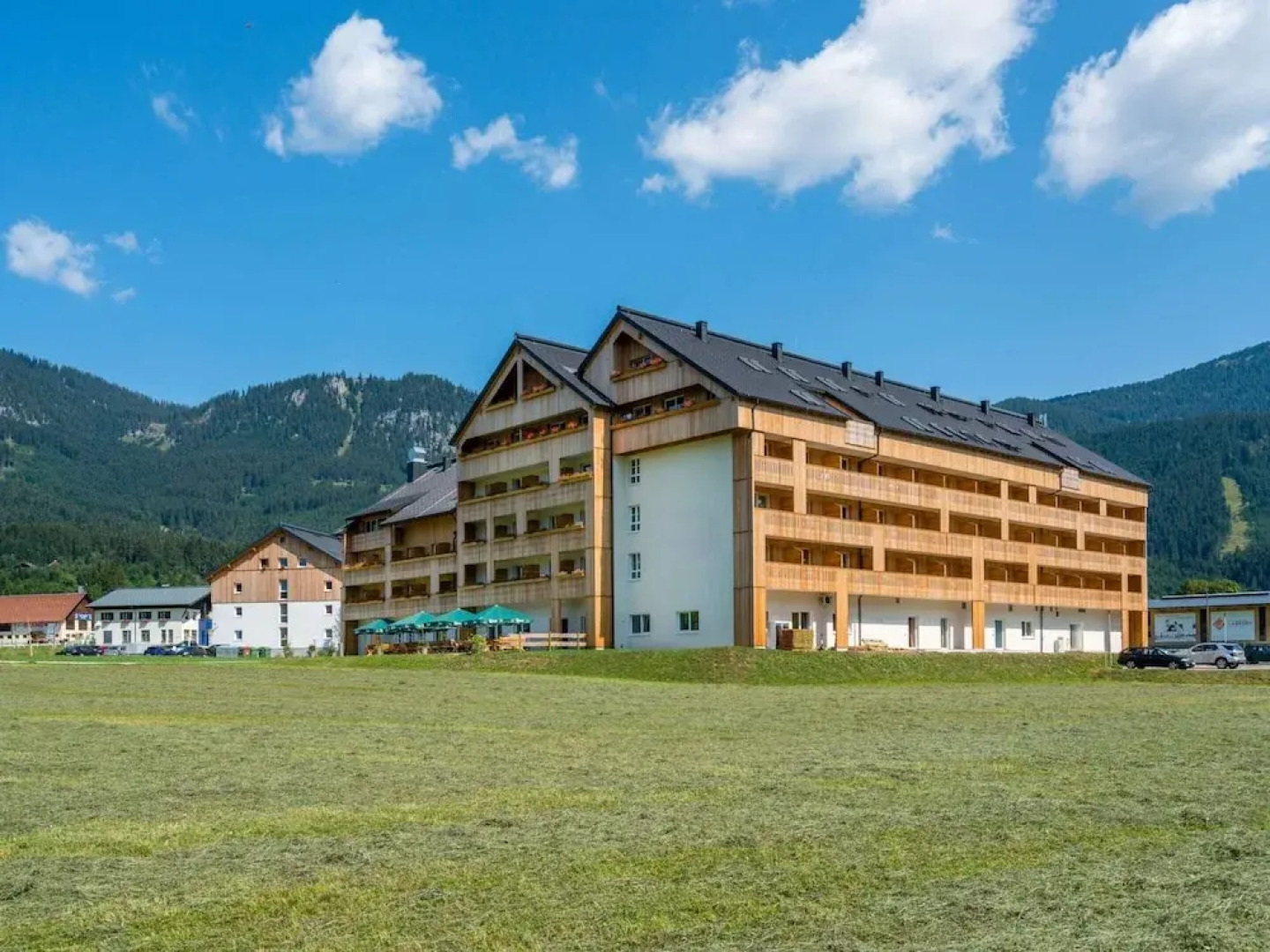 Spacious Apartment in Gosau near Ski Area