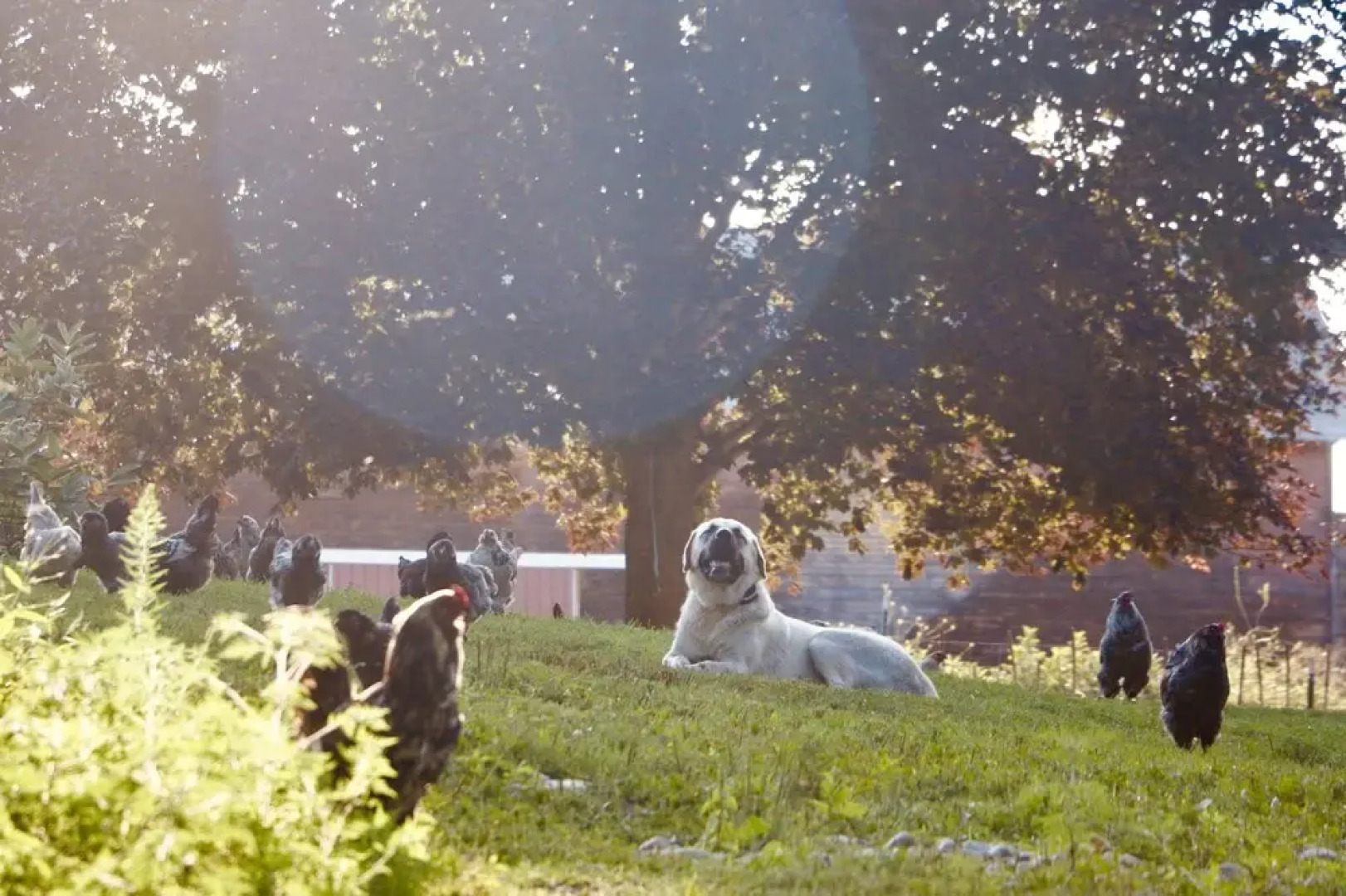 The Inn on Lake Champlain