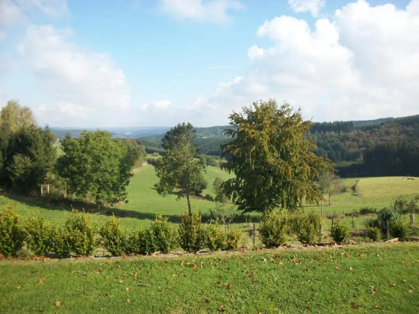 FILD - Holiday Apartment