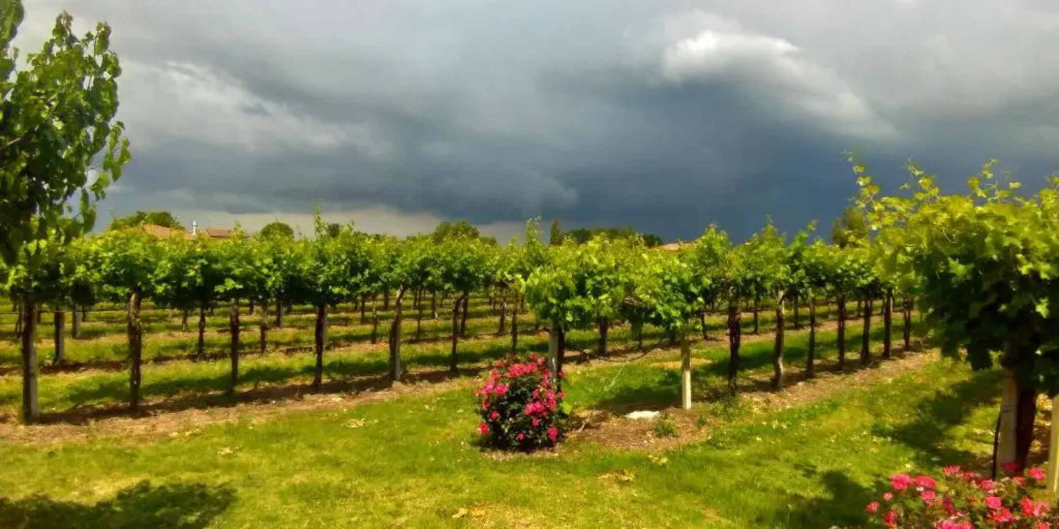 Agriturismo Fondo Gesù