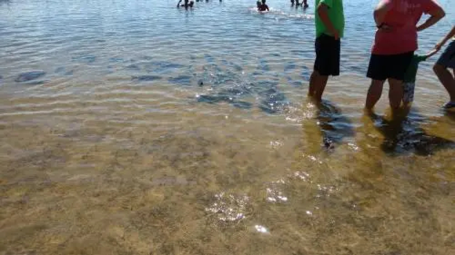 Apart Resort Villa das Águas