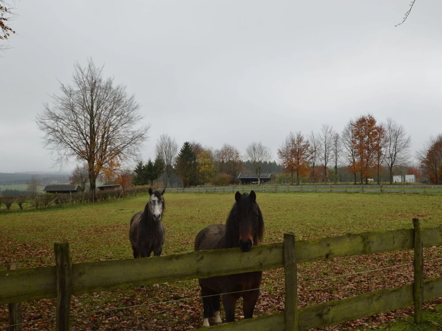 A Modern Group House, Near the Picturesque Town of Monschau