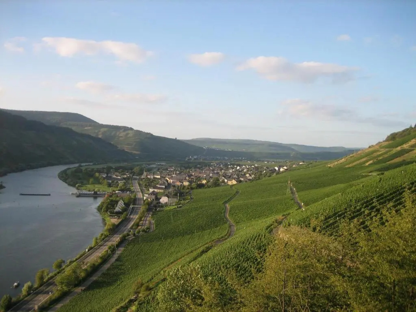 Moselferienweingut Schaefer