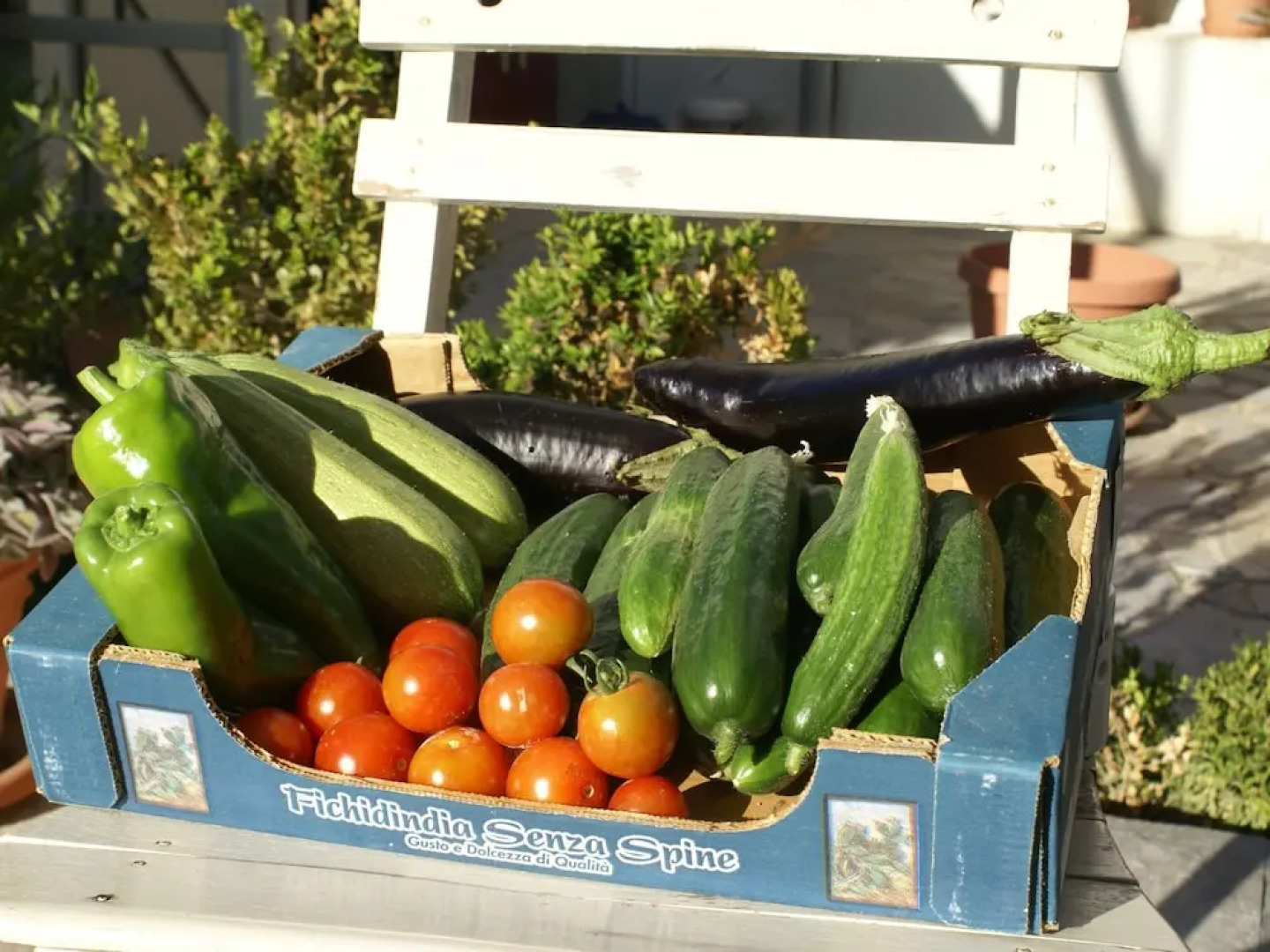 Holiday Home With Garden in Kritinia