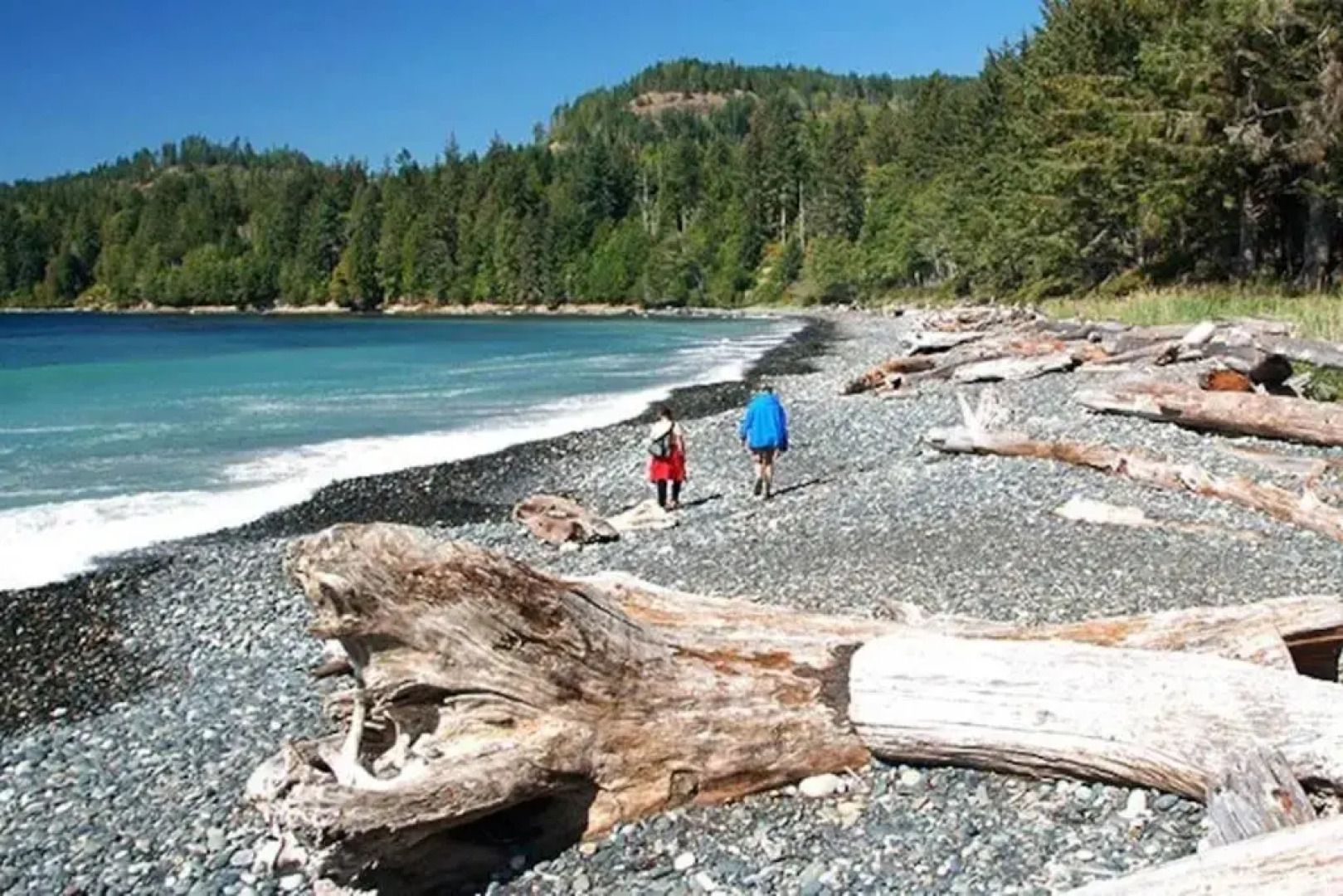 Seagull Studio Vacation Guest Suite