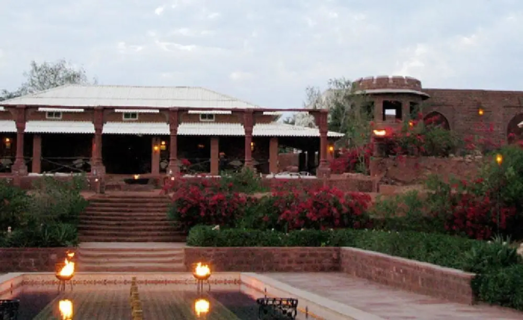 Reggie's Camel Camps