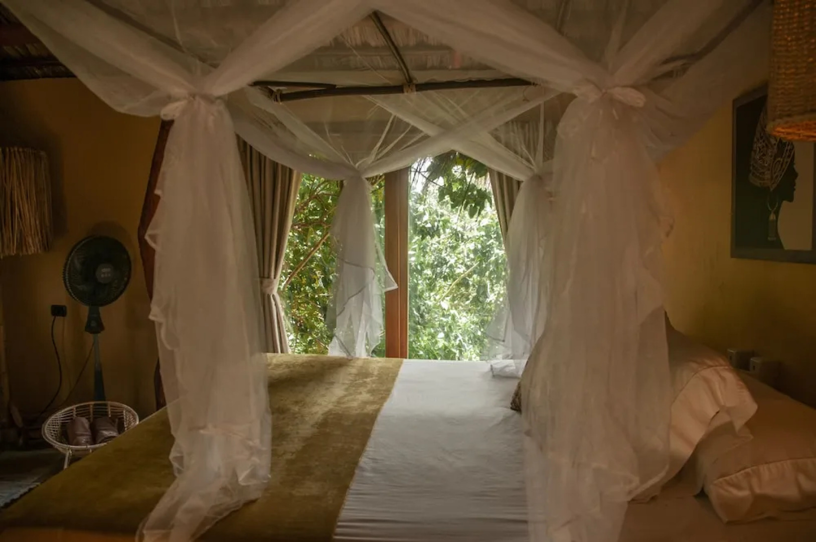 Ecoxata - Adults Only