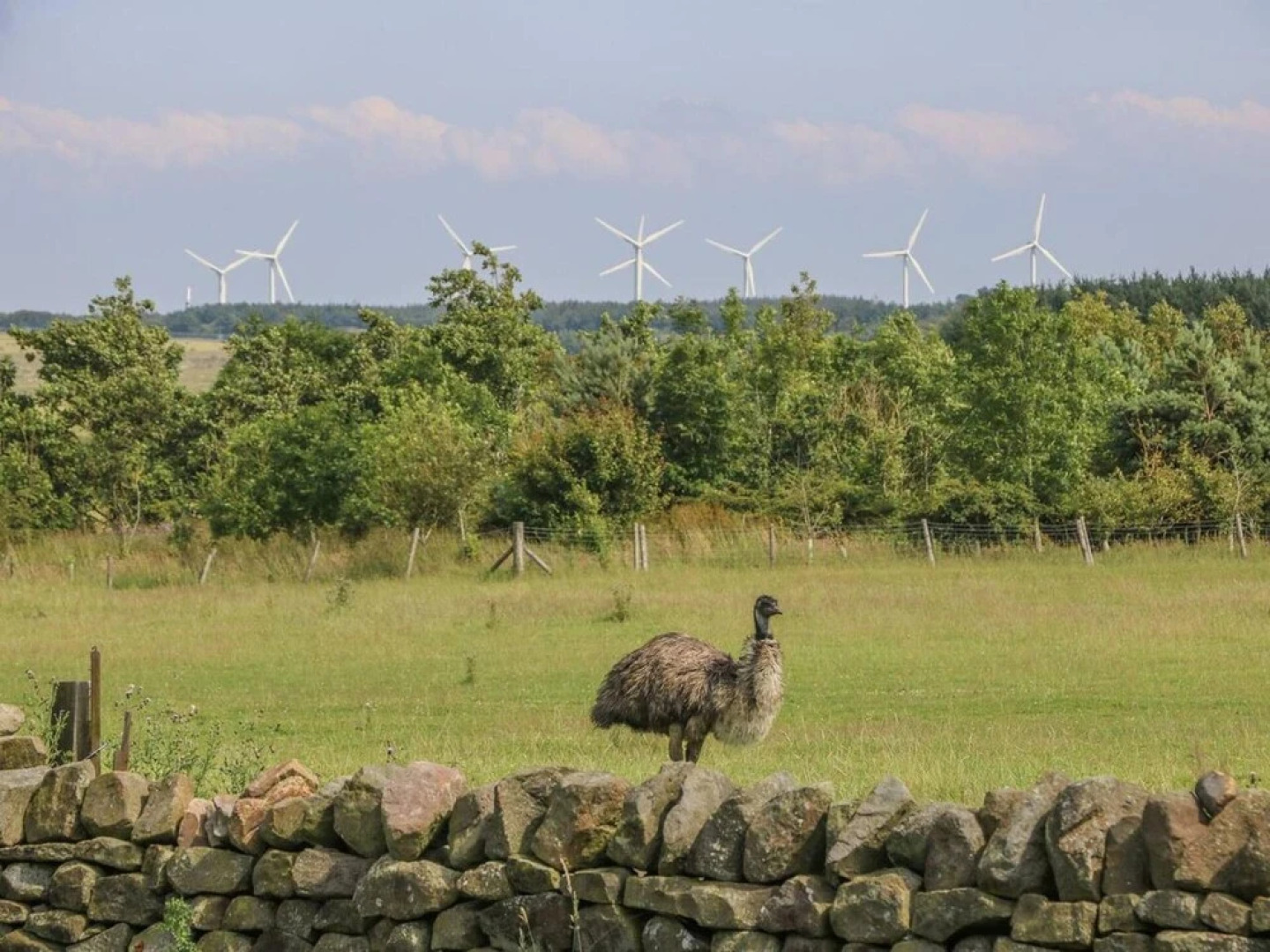 The Cottage a 2 bed at Meagill Farm Country Retrea