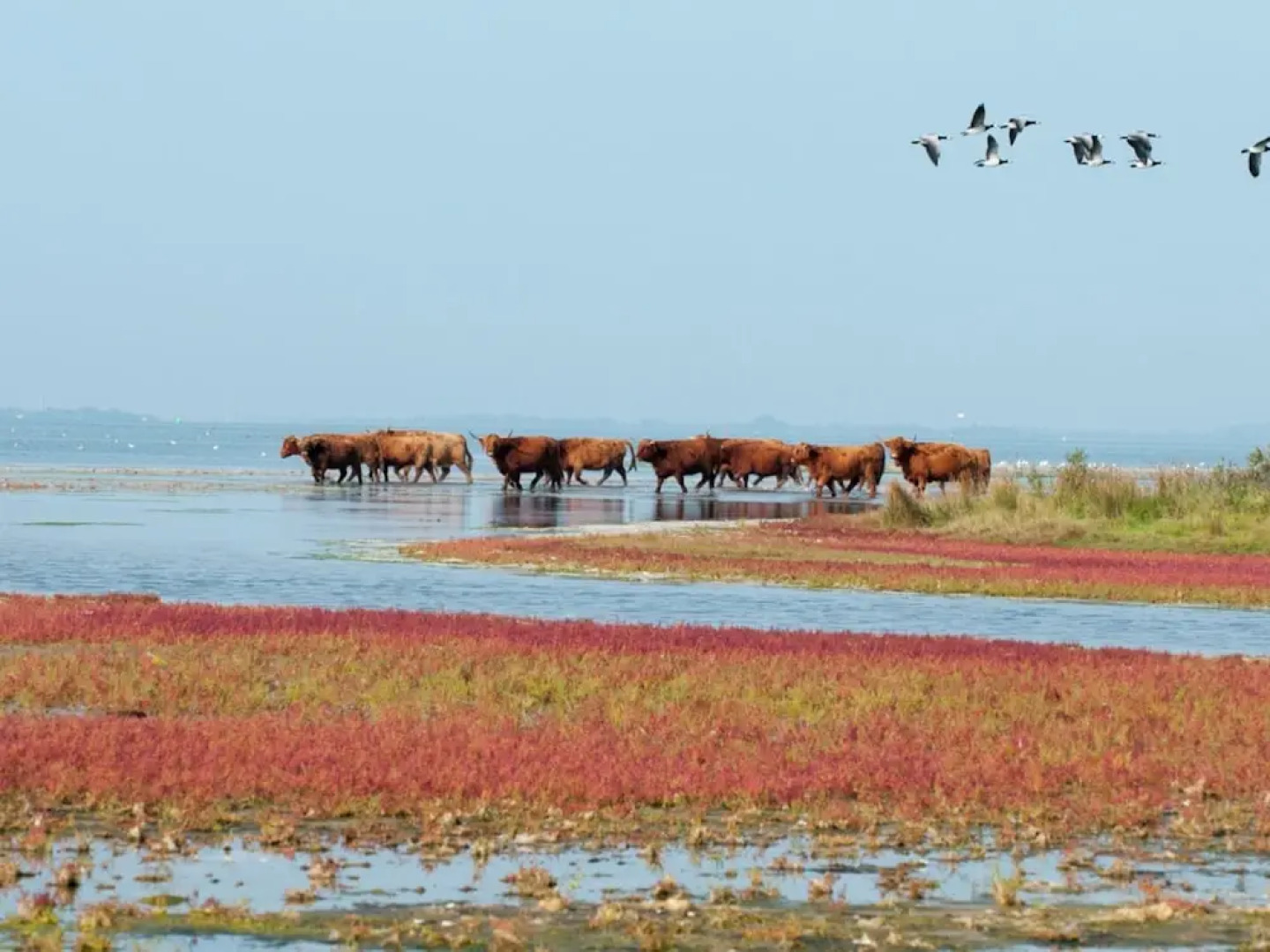 Luxurious Villa in a Nature Reserve