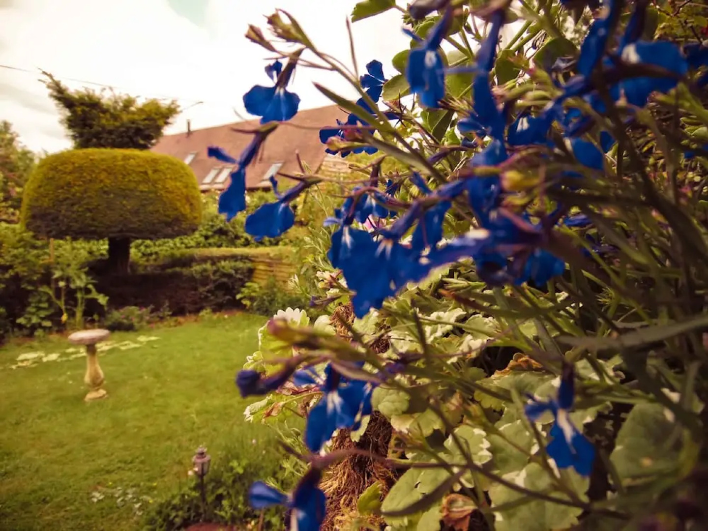 Yew Tree House B & B