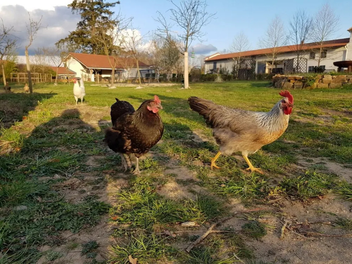 Château des Périchons