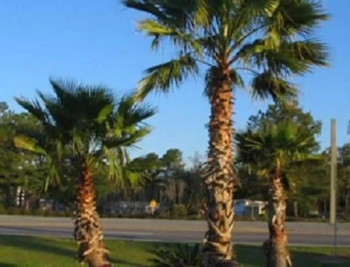 Oasis Lodge - Carrizo Springs