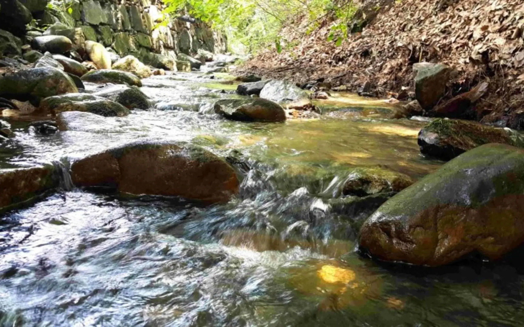 Yangpyeong Arajin Pension