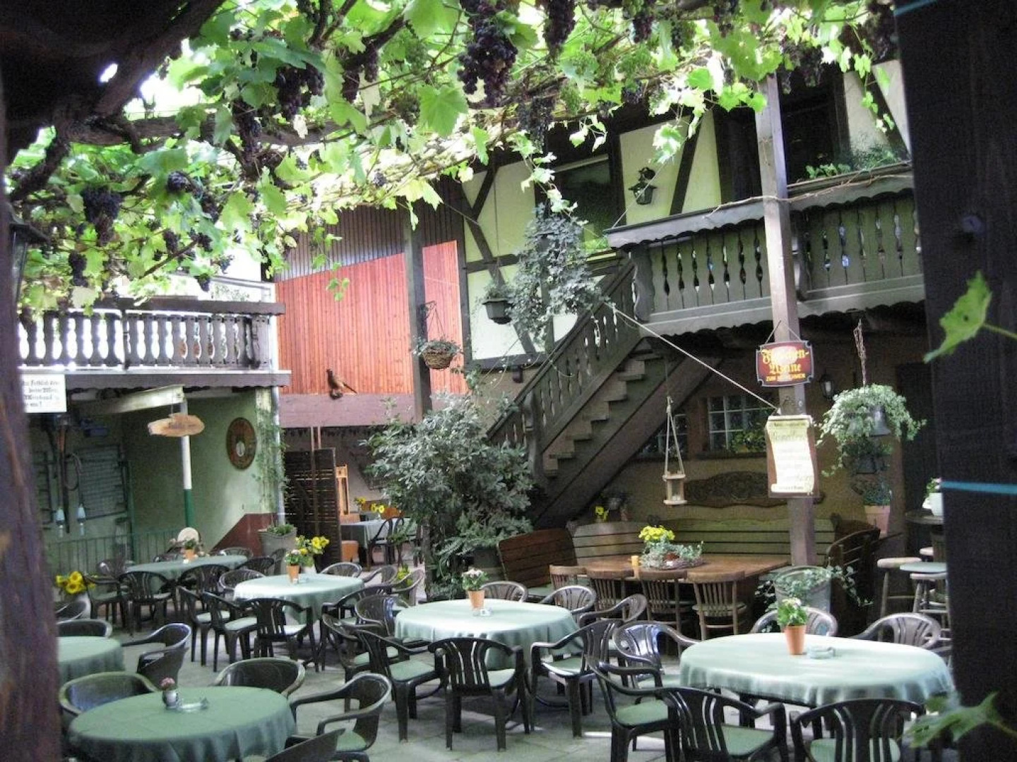 Weingut Franz Schäfer