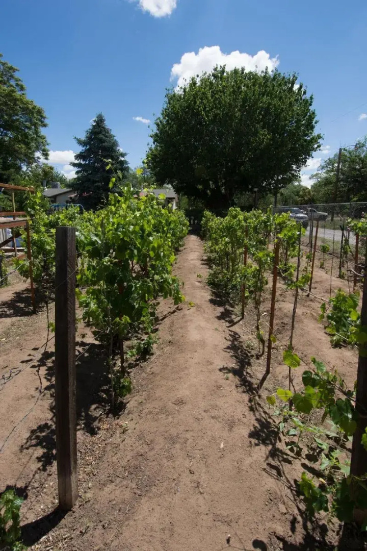 Red Horse Bed and Breakfast