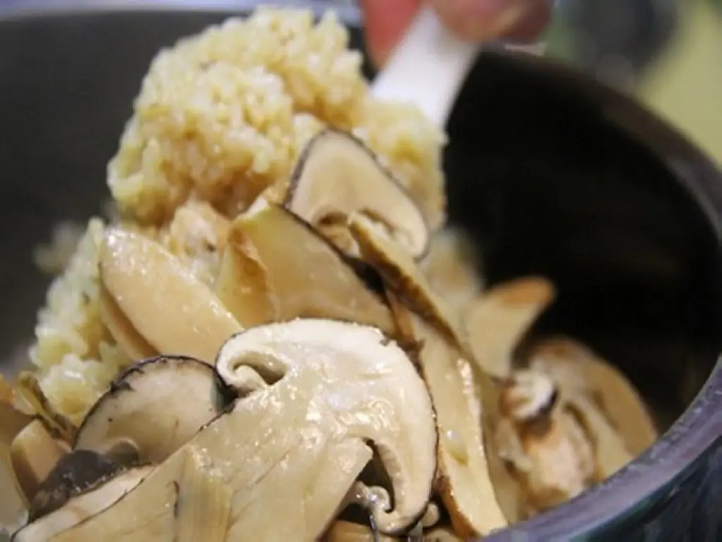 Togattaonsen Bettei Yamabuki