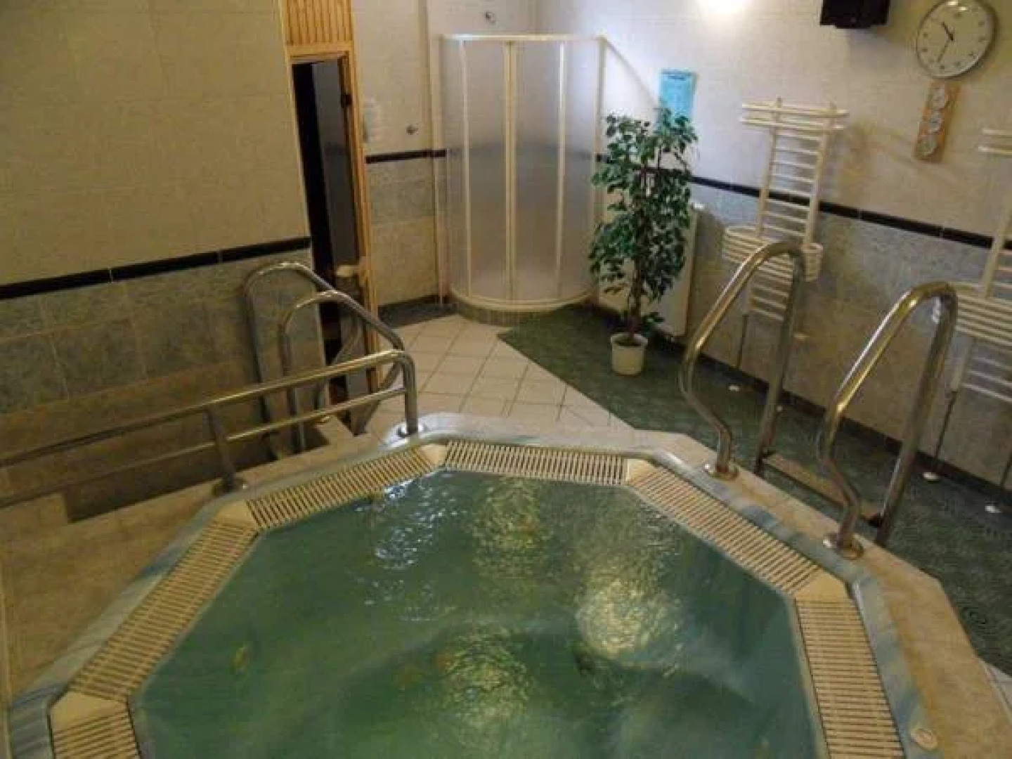 Spa Resort Libverda - Villa Friedland