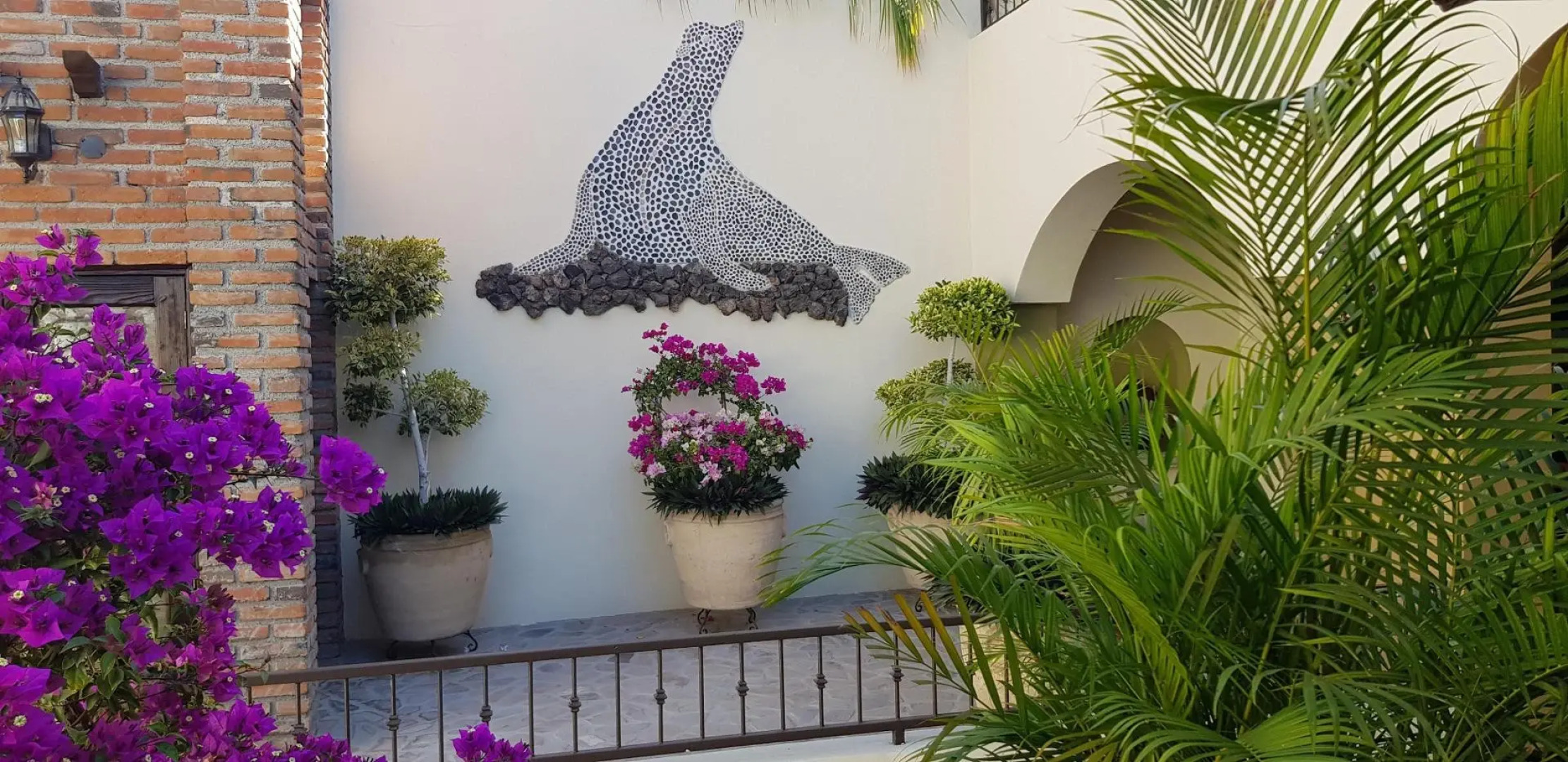 Posada De Las Flores La Paz