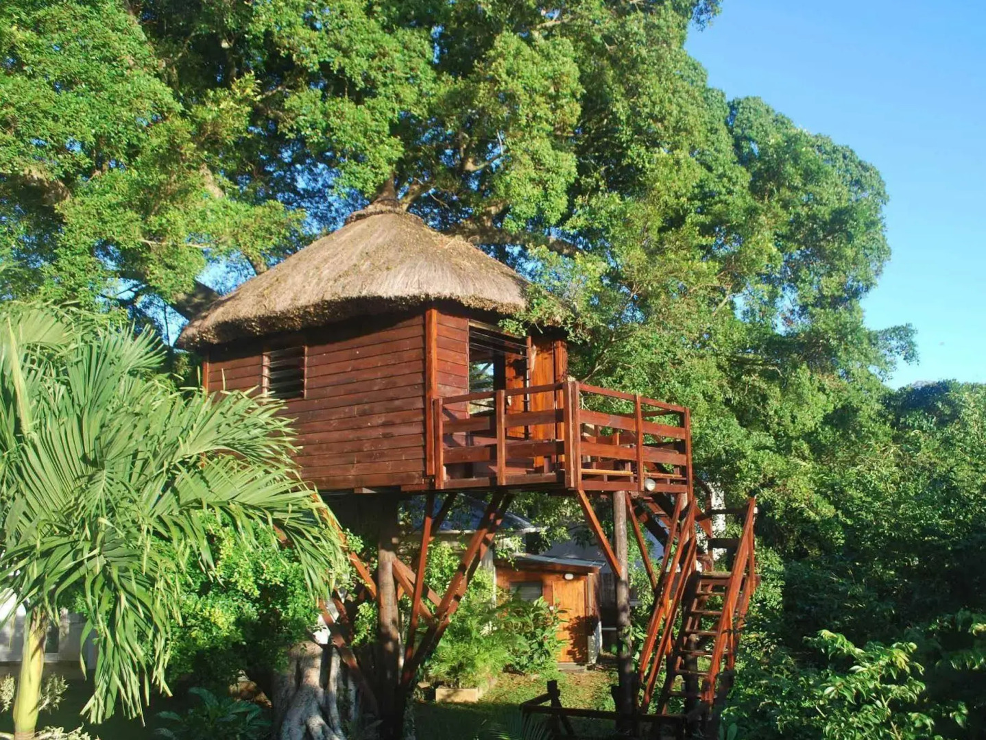 Tree Lodge Mauritius