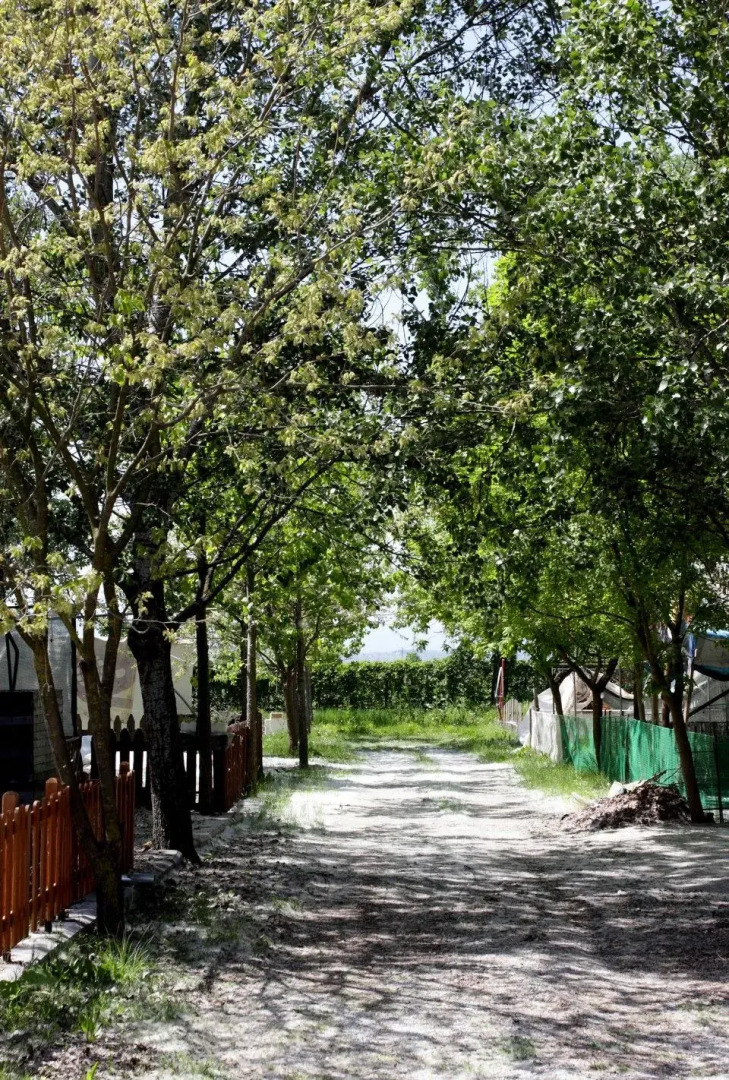 Camping Odysseia & Bungalows